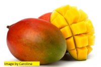 Bali Mango BBW Type Fragrance Oil
