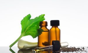 Celery Seed Essential Oil