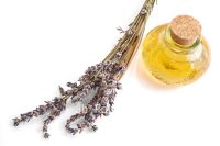 Lavender Essential Oil - India (Kashmir)