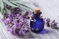 Spike Lavender Essential Oil (Organic)
