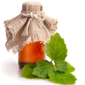 Patchouli (Dark) Essential Oil