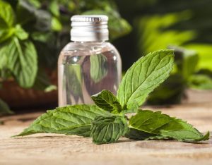 Peppermint Essential Oil (Organic)(India)