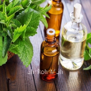 Peppermint Essential Oil (India)