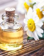 Chamomile Roman Oil (Organic)