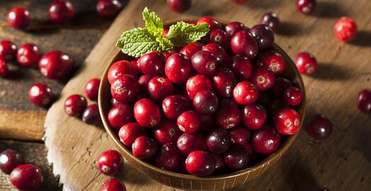 Organic Cranberry seed