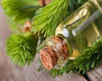 Fir Balsam Essential Oil
