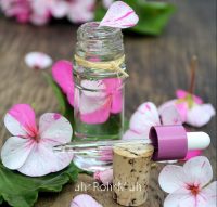 Geranium (Rose) Essential Oil - India
