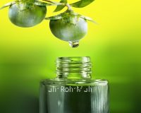 Jojoba Golden Oil