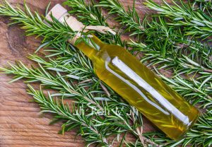 Rosemary Essential Oil (ct. Camphor) (Organic)