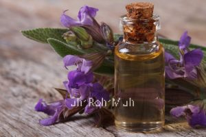 Sage Essential Oil (Organic)