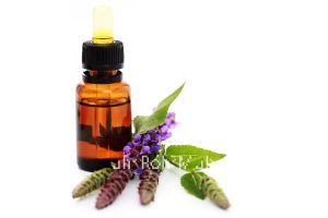 Sage Essential Oil