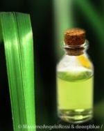 Vetiver Essential Oil (Haiti)